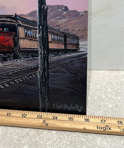 Train Tin Sign