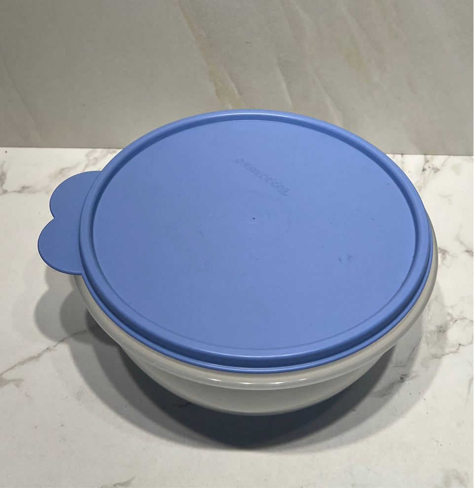 Covered Tupperware Bowl