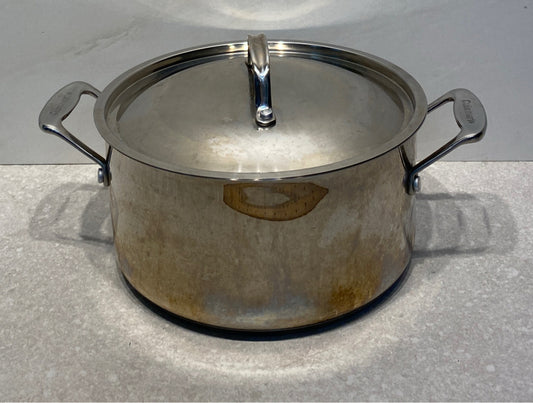 Covered Cuisinart Pan