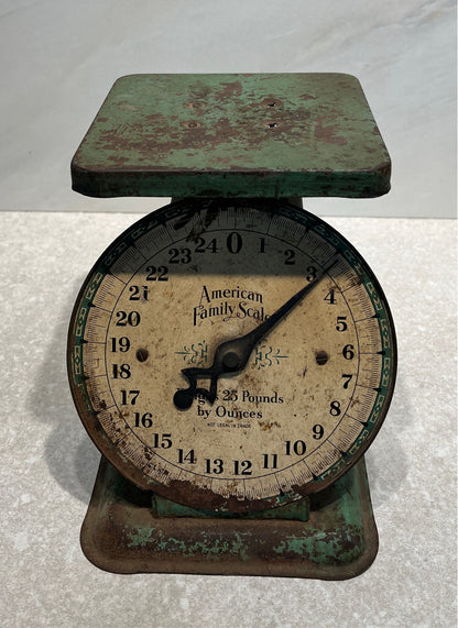 American Family Scale