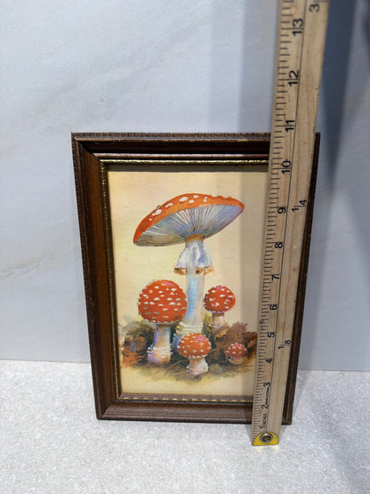 Framed Art