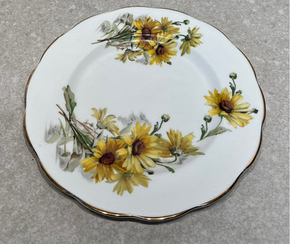 Englnd Plate