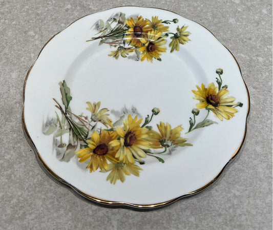 Englnd Plate