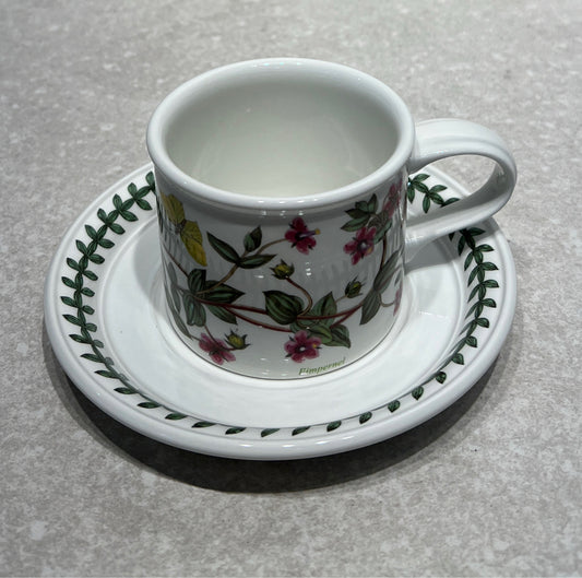 Portmeirion Cup and Saucer