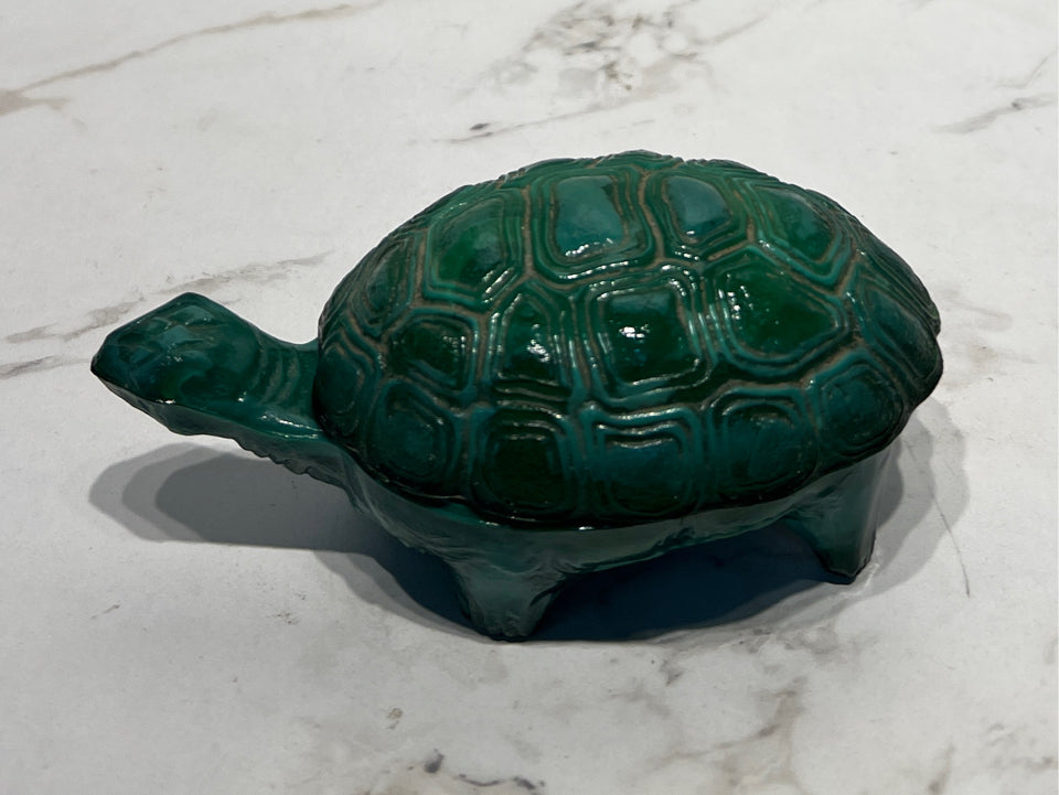 Covered Turtle