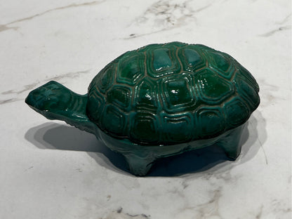 Covered Turtle