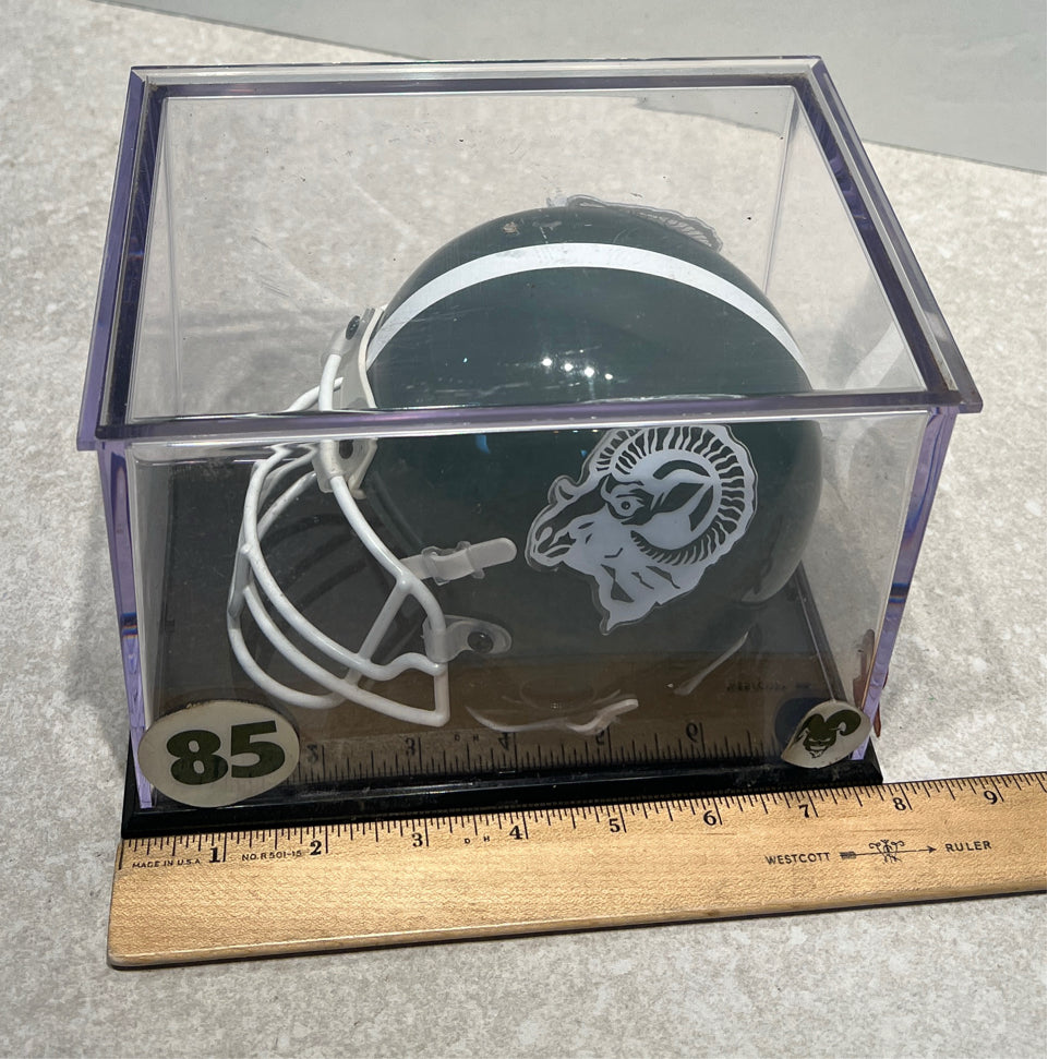 Helmet