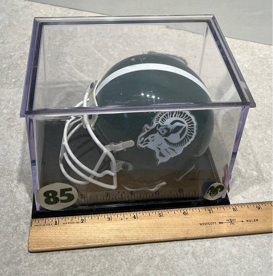 Helmet