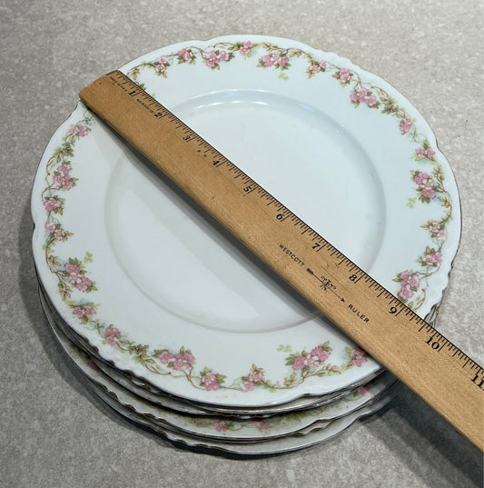 Set of 6 Austria Plates