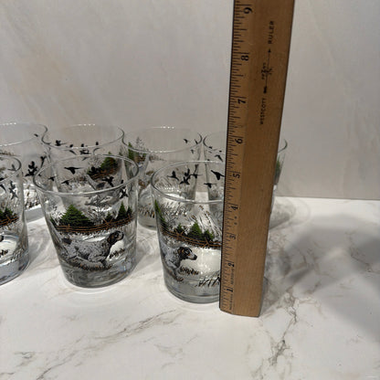 Set of 7 Vintage Glasses