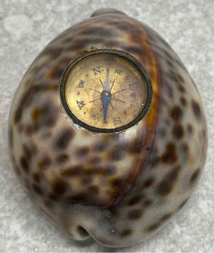 Shell Compass