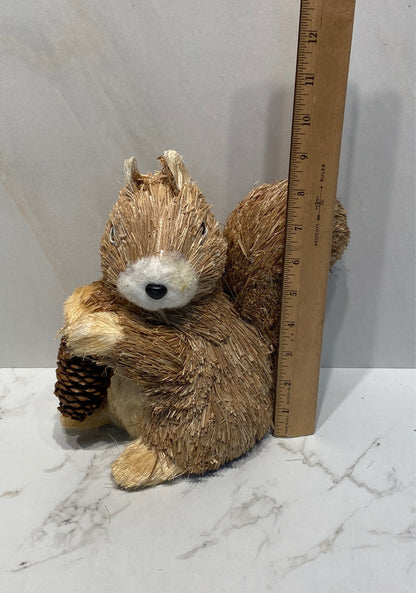Squirrel