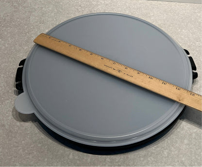 Tupperware Divided Container