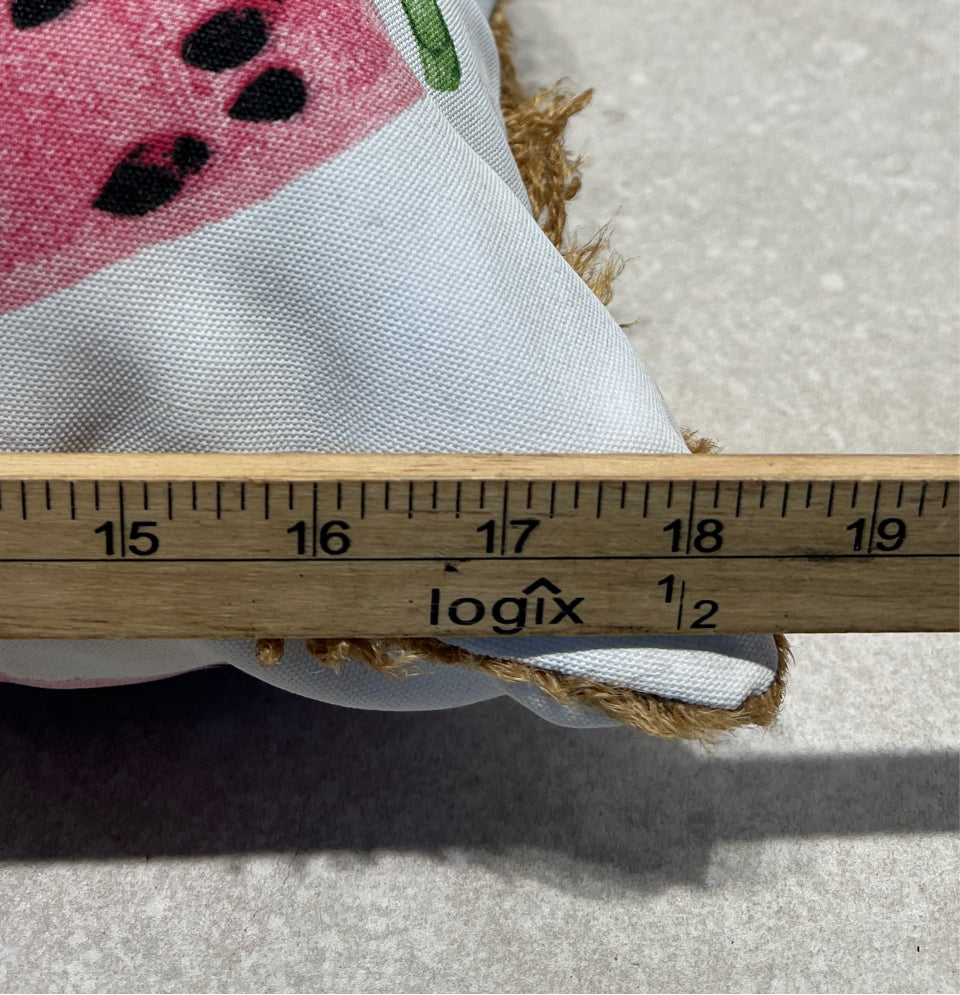 Watermelon Pillow