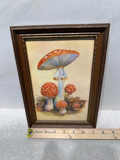 Framed Art
