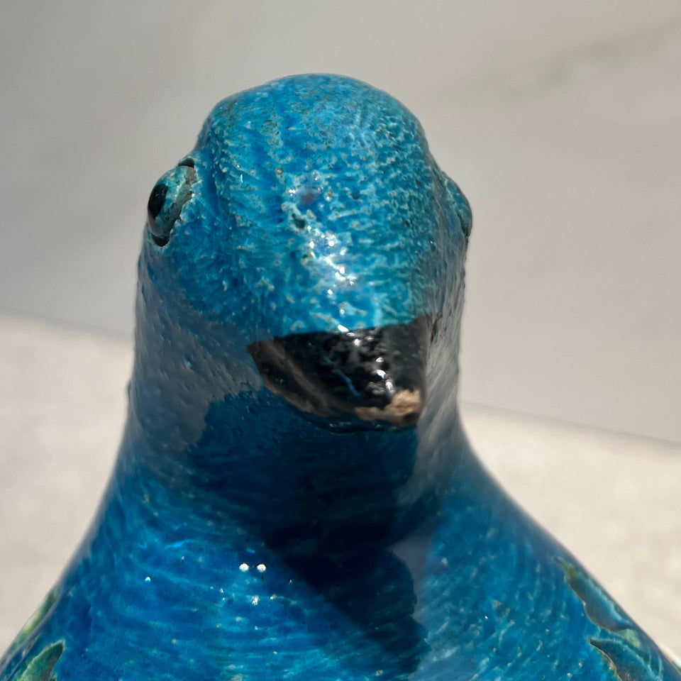 Bird (as-is)