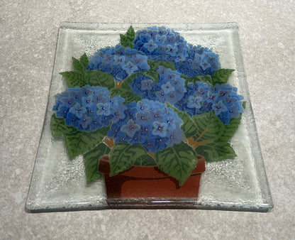 Fused Glass Plate