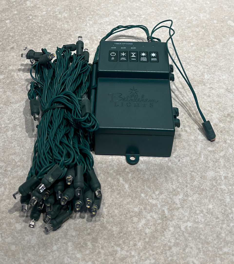 Bethlehem Lights 40 LED Battery Operated String Lights