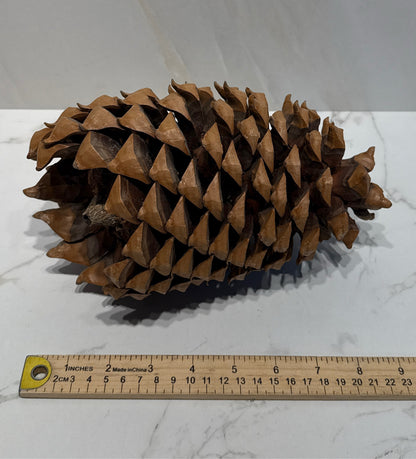 Pinecone Decor