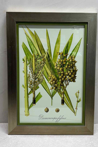 Wall Decor