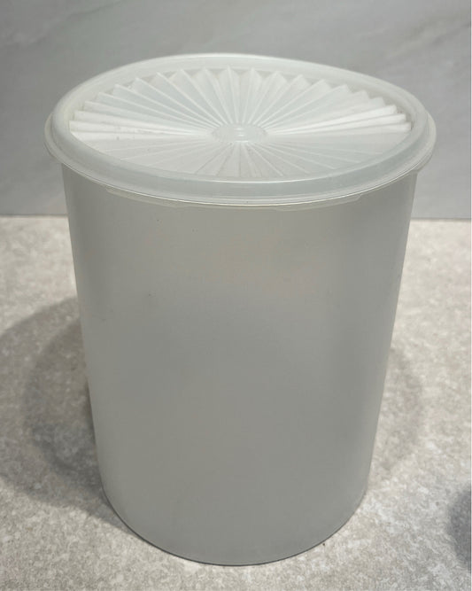 Covered Tupperware Container
