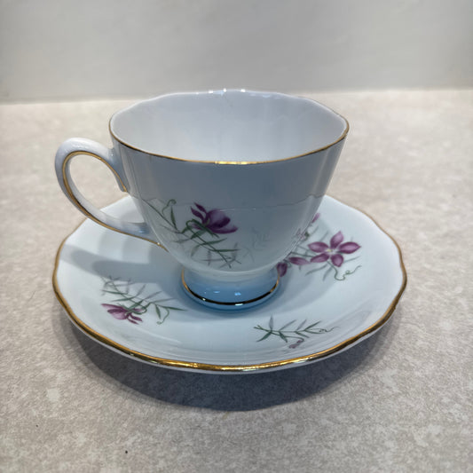 Cup And Saucer