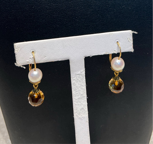 18 Paul Morelli Earings