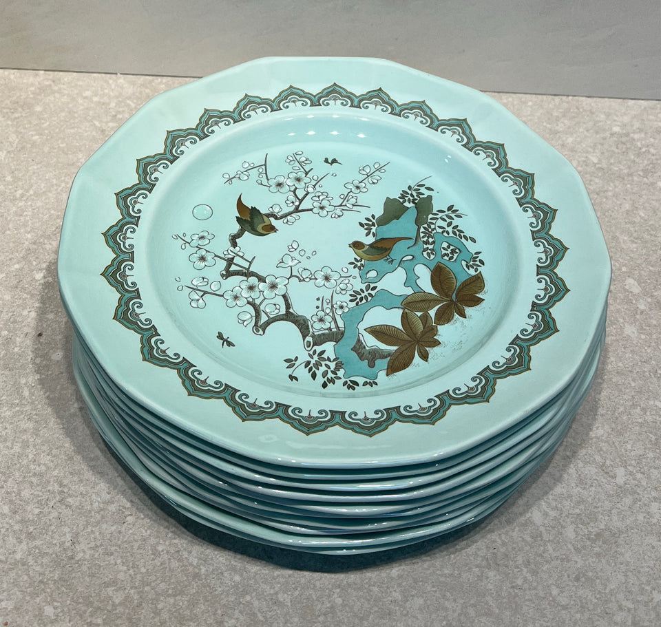 Set of 10 Adams Chusan Dinner Plates