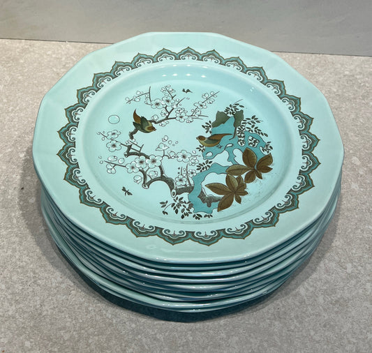 Set of 10 Adams Chusan Dinner Plates