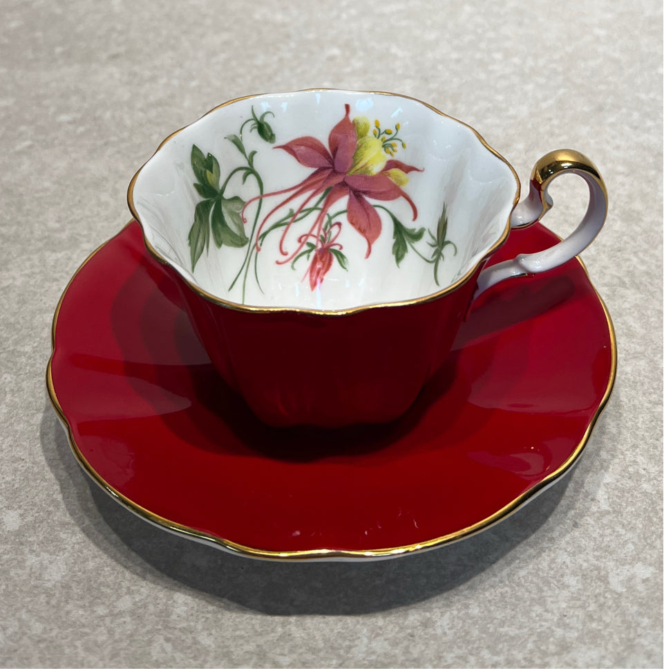 Cup And Saucer