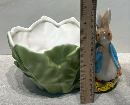 Beatrix Potter Rabbit