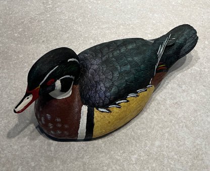 Duck