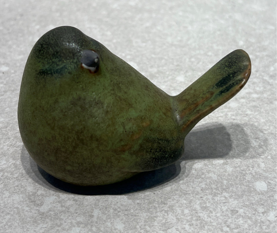 Bird