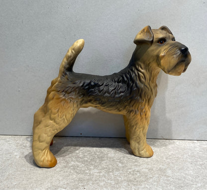 Goebel Dog