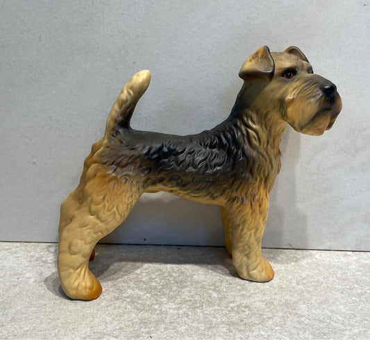 Goebel Dog