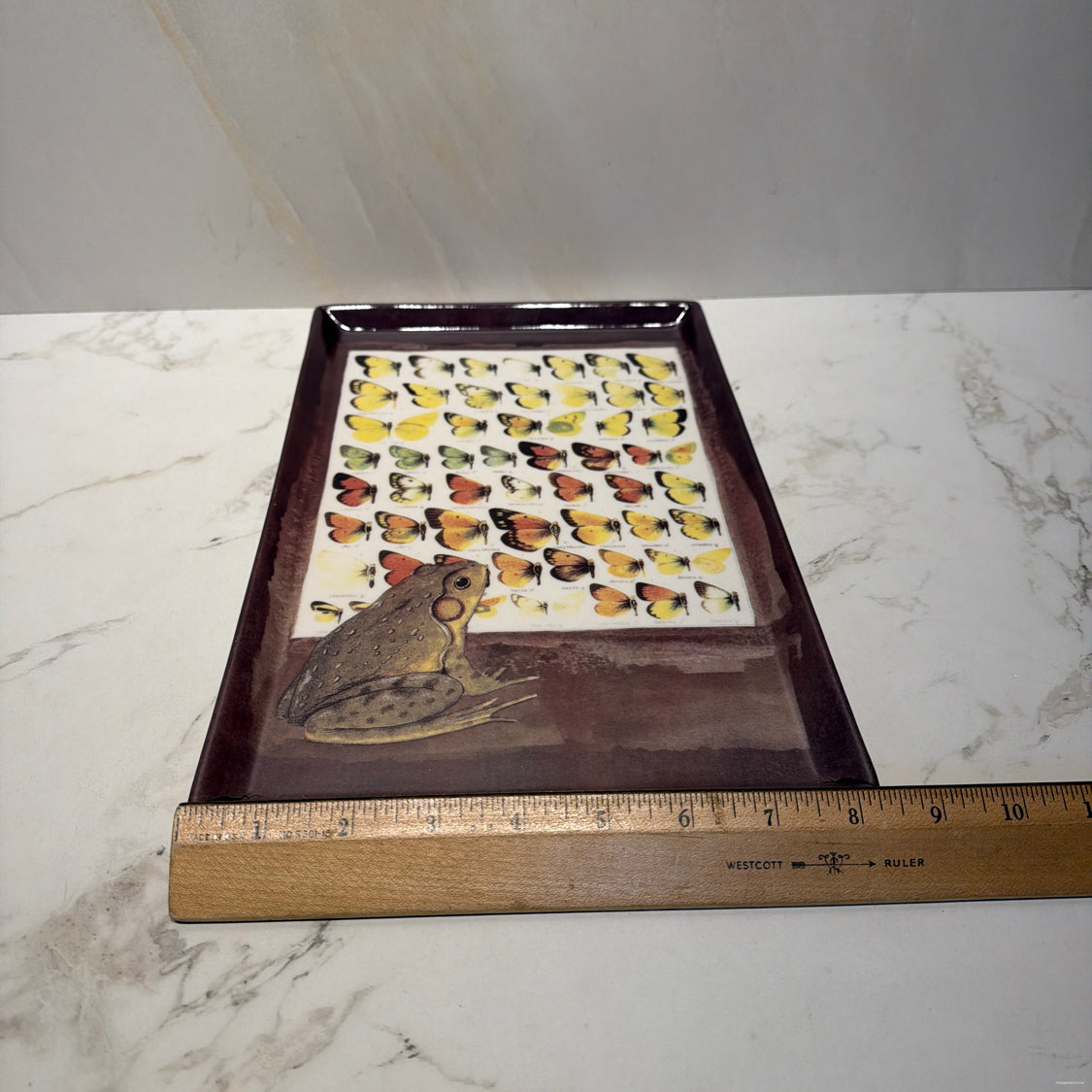 Frog Tray
