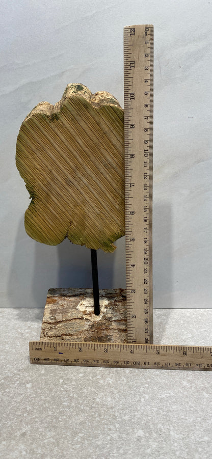 Wood Decor